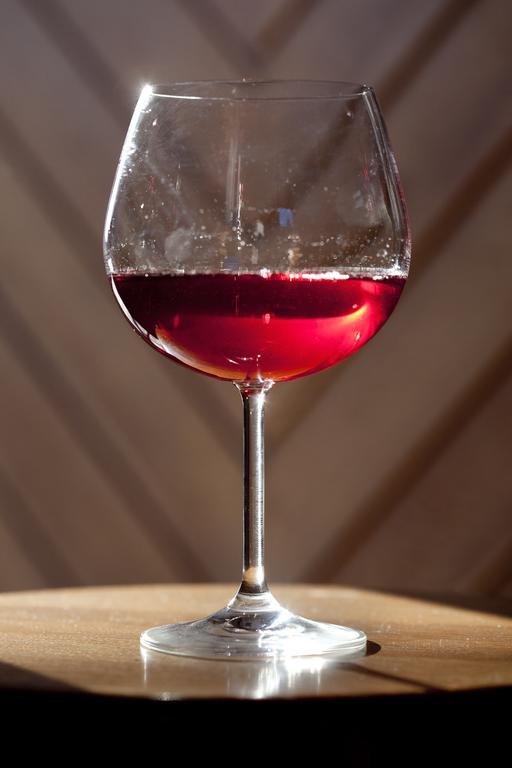 Vineyard Cottage Lustek ノヴォ メスト 部屋 写真