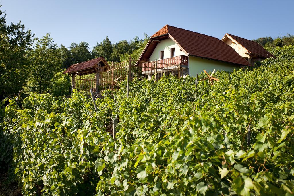 Vineyard Cottage Lustek ノヴォ メスト エクステリア 写真
